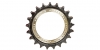 ROUE DENTTE